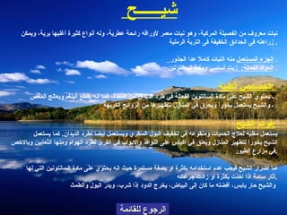 الرجوع للقائمة   شي ــــــ ح    نبات معروف من الفصيلة المركبة، وهو نبات معمر لأوراقه رائحة عطرية، وله أنواع كثيرة أغلبها برية، ويمكن زراعته فى الحدائق الخفيفة فى التربة الرملية .    الجزء المستعمل  منه النبات كاملاً عدا الجذور .  المواد الفعالة :   زيت أساسي ومادة السانتونين .  الخصائص الطبية :   ـ يحتوي الشيح على مادة السانتوين الفعالة في طرد الديدان من المعدة، كما أنه يقطع البلغم ويعالج المغص .  ـ والشيح يستعمل بخوراً ويحرق في المنازل لتطهيرها من الروائح الكريهة .  فوائد الشيح :   يستعمل مغليه لعلاج الحميات ومنقوعه في تخفيف البول السكري ويستعمل ايضا لطرد الديدان .  كما يستعمل الشيح بخورا لتطهير المنازل ويعلق في اكياس على النوافذ والابواب في القرى لطرد الهوام ومنها الثعابين وبالاخص في مزارع الطيور . اما اضرار الشيح فيجب عدم استخدامه بكثرة او بصفة مستمرة حيث انه يحتوي على مادة السانتونين التي لها  أ ثار سامة اذا اخذت بكثرة او زادت جرعاته . والشيح حار يابس، أفضله ما كان إلى البياض، يخرج الدود إذا شرب، ويدر البول والطمث   