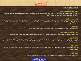 الرجوع للقائمة أمراض يعالجها الزنجبيل   لتقوية الذاكرة وللحفظ وعدم النسيان : يؤخذ من الزنجبيل المطحون قدر  55  جرام، ومن اللبان الدكر  ( الكندر ) 50  جرام، ومن الحبة السوداء 50  جرام تخلط معا وتعجن في كيلو عسل نحل وتؤخذ منه ملعقة صغيرة على الريق يوميا مع  صنوبر وزبيب . لعلاج الصداع والشقيقة :   يعجن الزنجبيل المطحون قدر ملعقة صغيرة في فنجان زيت زيتون ويدلك منه مكان الألم مع شرب مغلي الزنجبيل مع النعناع، وحبة البركة من كل ملعقة صغيرة كالشاي .   لتقوية النظر :   يشرب عصيرجزر عليه ربع ملعقة صغيرة من زنجبيل مطحون غسل العينين بمغلي الشمر صباحا .   لعلاج بحة الصوت وصعوبة التكلم :   تدهن الحنجرة بمعجون الزنجبيل والنعناع وزيت الزيتون بنسبة  1:1: 3  مع شرب مغلي الينسون محلى بسكر نبات أو مص سكر نبات .   للتوتر العصبي :   ينقع زهر الخزامى قدر ملعقة صغيرة في نصف كوب ماء مات المساء للصباح، ثم يصفى ويحلى بعسل نحل ويضاف إليه ربع ملعقة منا زنجبيل مطحون ويشرب عند اللزوم .   للأرق والقلق :   يضرب كوب حليب ساخن عليه ربع ملعقة صغيرة من زنجبيل مطحون مع دهن الجسم بزيت زيتون ولا تنسى قراءة القران وذكر الله :{... ألا بذكر الله تطمئن القلوب }.   للتبلد الذهني :   يشرب كوب حليب مغلي فيه ربع ملعقة زنجبيل مطحون ويؤكل بعده زبيب مع حب الصنوبر بما تيسر .   الزنجبيل 