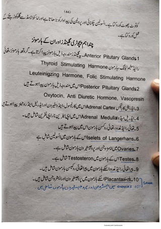 Pharmacy Assistant Book (D E F) .pdf