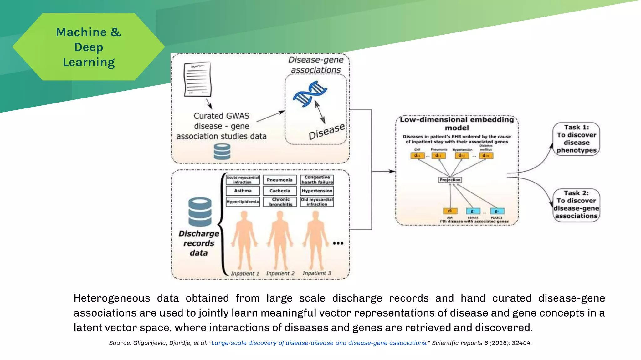 Heterogeneous data obtained from large scale discharge records and hand curated disease-gene
associations are used to jointly learn meaningful vector representations of disease and gene concepts in a
latent vector space, where interactions of diseases and genes are retrieved and discovered.
Source: Gligorijevic, Djordje, et al. "Large-scale discovery of disease-disease and disease-gene associations." Scientific reports 6 (2016): 32404.
Machine &
Deep
Learning
 