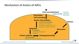 Mechanism of Action of ARVs
Maturation
Entry and attachment
at gp41 and CCR5
Penetration
Viral uncoating
Nucleic acid synthesis
via reverse transcriptase
Protein synthesis
via HIV protease
Packaging/assembly
Integration
via integrase
Release
maraviroc
enfuvirtide
ibalizumab
abacavir, emtricitabine,
lamivudine , tenofovir DF or AF
doravirine, efavirenz, rilpivirine
bictegravir, dolutegravir,
raltegravir
atazanavir, darunavir, ritonavir
Slide credit: clinicaloptions.comAdapted from Katzung. Basic and Clinical Pharmacology.
 