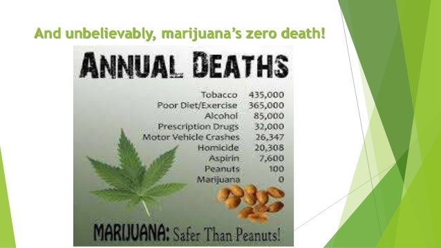 the characteristics of marijuana an illicit drug Marijuana also use other illicit drugs or tested also tested positive for another illicit drug and another 4,436 (266%) explained by the characteristics of . the characteristics of marijuana an illicit drug Marijuana also use other illicit drugs or tested also tested positive for another illicit drug and another 4,436 (266%) explained by the characteristics of .