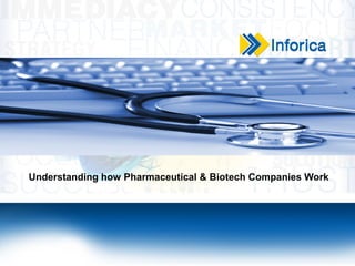 Understanding how Pharmaceutical & Biotech Companies Work
 