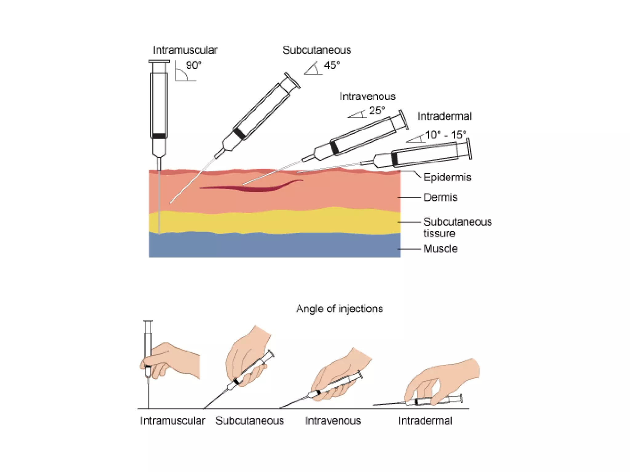 Rout of drugs administration | PPTX