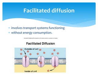  involves transport systems functioning
 without energy consumption.
Facilitated diffusion
 