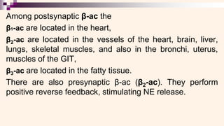 Among postsynaptic β-ac the
β1-ac are located in the heart,
β2-ac are located in the vessels of the heart, brain, liver,
lungs, skeletal muscles, and also in the bronchi, uterus,
muscles of the GIT,
β3-ac are located in the fatty tissue.
There are also presynaptic β-ac (β2-ac). They perform
positive reverse feedback, stimulating NE release.
 