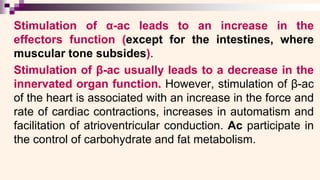Stimulation of α-ac leads to an increase in the
effectors function (except for the intestines, where
muscular tone subsides).
Stimulation of β-ac usually leads to a decrease in the
innervated organ function. However, stimulation of β-ac
of the heart is associated with an increase in the force and
rate of cardiac contractions, increases in automatism and
facilitation of atrioventricular conduction. Ac participate in
the control of carbohydrate and fat metabolism.
 
