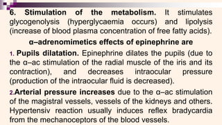 6. Stimulation of the metabolism. It stimulates
glycogenolysis (hyperglycaemia occurs) and lipolysis
(increase of blood plasma concentration of free fatty acids).
α–adrenomimetics effects of epinephrine are
1. Pupils dilatation. Epinephrine dilates the pupils (due to
the α–ac stimulation of the radial muscle of the iris and its
contraction), and decreases intraocular pressure
(production of the intraocular fluid is decreased).
2.Arterial pressure increases due to the α–ac stimulation
of the magistral vessels, vessels of the kidneys and others.
Hypertensiv reaction usually induces reflex bradycardia
from the mechanoceptors of the blood vessels.
 