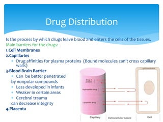 Drug Distribution
Is the process by which drugs leave blood and enters the cells of the tissues.
Main barriers for the drugs:
1.Cell Membranes
2.Capillaries
 Drug affinities for plasma proteins (Bound molecules can’t cross capillary
walls)
3.Blood Brain Barrier
 Can be better penetrated
by nonpolar compounds
 Less developed in infants
 Weaker in certain areas
 Cerebral trauma
can decrease integrity
4.Placenta
 