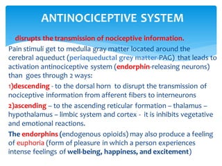 ANTINOCICEPTIVE SYSTEM
 disrupts the transmission of nociceptive information.
Pain stimuli get to medulla gray matter located around the
cerebral aqueduct (periaqueductal grey matter-PAG) that leads to
activation antinociceptive system (endorphin-releasing neurons)
than goes through 2 ways:
1)descending - to the dorsal horn to disrupt the transmission of
nociceptive information from afferent fibers to interneurons
2)ascending – to the ascending reticular formation – thalamus –
hypothalamus – limbic system and cortex - it is inhibits vegetative
and emotional reactions.
The endorphins (endogenous opioids) may also produce a feeling
of euphoria (form of pleasure in which a person experiences
intense feelings of well-being, happiness, and excitement)
 