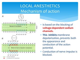  Is based on the blocking of
voltage-dependent sodium
channels.
 This inhibits membrane
depolarization, prevents both
the appearance and
conduction of the action
potential.
 Conduction of nerve impulse is
blocked.
LOCAL ANESTHETICS
Mechanism of action
 