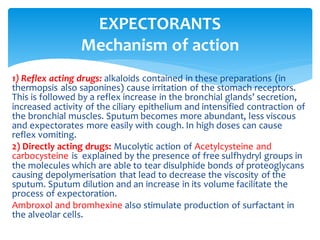 1) Reflex acting drugs: alkaloids contained in these preparations (in
thermopsis also saponines) cause irritation of the stomach receptors.
This is followed by a reflex increase in the bronchial glands’ secretion,
increased activity of the ciliary epithelium and intensified contraction of
the bronchial muscles. Sputum becomes more abundant, less viscous
and expectorates more easily with cough. In high doses can cause
reflex vomiting.
2) Directly acting drugs: Mucolytic action of Acetylcysteine and
carbocysteine is explained by the presence of free sulfhydryl groups in
the molecules which are able to tear disulphide bonds of proteoglycans
causing depolymerisation that lead to decrease the viscosity of the
sputum. Sputum dilution and an increase in its volume facilitate the
process of expectoration.
Ambroxol and bromhexine also stimulate production of surfactant in
the alveolar cells.
EXPECTORANTS
Mechanism of action
 