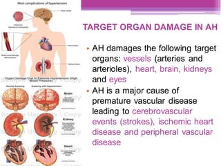 TARGET ORGAN DAMAGE IN AH
• AH damages the following target
organs: vessels (arteries and
arterioles), heart, brain, kidneys
and eyes
• AH is a major cause of
premature vascular disease
leading to cerebrovascular
events (strokes), ischemic heart
disease and peripheral vascular
disease
 