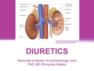Ingerior vena cava - = Abdominal aorta
Suprarenal artery: a ne
gaa.
Ae AZ Renal
Adrenal gland 44 y artery
eX -

Renal capsule
Renal column
se
= Calyx
=.
oa
Renal vein ay
Hilum af . 3} — Papilla
4 Medulla
"t y  Cortex
'
“ww
DIURETICS
Associate professor of pharmacology chair
PhD, MD Shmyreva Natalia
 