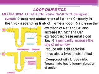 LOOP DIURETICS
MECHANISM OF ACTION: inhibit Na*/K*/2CI transport
system > suppress reabsorption of Na* and CI mostly in
the thick ascending limb of Henle’s loop = increase the
excretion of Na* and Cr; also
increase K*, Mg* and Cat
~ excretion; increase renal blood
flow > significantly increase the
rate of urine flow
ereduce uric acid secretion
ehave also a hypotensive effect
eCompared with furosemide,
Torasemide has a longer duration
of action
 