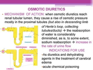 OSMOTIC DIURETICS
e MECHANISM OF ACTION: when osmotic diuretics reach
renal tubular lumen, they cause a rise of osmotic pressure
mostly |in the proximal tubules (but also in descending limb
of Henle’s loop, collecting
tubules/ducts) > the reabsorption
of water is considerably
diminished, as is, to some extent,
sodium reabsorption > increase in
the rate of urine flow
INDICATIONS FOR USE
eAs diuretics and dehydrating
agents in the treatment of cerebral
edema
eacute chemical poisoning
 