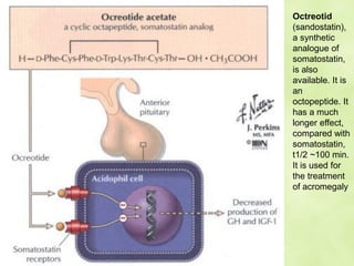 Octreotid
(sandostatin),
a synthetic
analogue of
somatostatin,
is also
available. It is
an
octopeptide. It
has a much
longer effect,
compared with
somatostatin,
t1/2 ~100 min.
It is used for
the treatment
of acromegaly
 