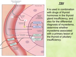 TSH
It is used in combination
with drugs of thyroid
hormones in the thyroid
gland insufficiency, and
also for the differential
diagnosis of myxedema,
determine whether
myxedema associated
with a primary lesion of
the thyroid or pituitary
insufficiency.
 