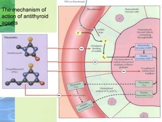 The mechanism of
action of antithyroid
agents
 
