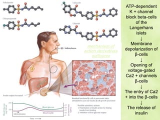ATP-dependent
K + channel
block beta-cells
of the
Langerhans
islets
↓
Membrane
depolarization of
β-cells
↓
Opening of
voltage-gated
Ca2 + channels
β-cells
↓
The entry of Ca2
+ into the β-cells
↓
The release of
insulin
mechanism of
action derivatives
solfourea
 