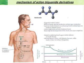 mechanism of action biguanide derivatives
 