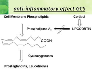anti-inflammatory effect GCS
 
