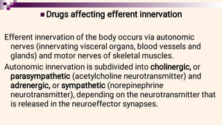  Drugs affecting efferent innervation
Efferent innervation of the body occurs via autonomic
nerves (innervating visceral organs, blood vessels and
glands) and motor nerves of skeletal muscles.
Autonomic innervation is subdivided into cholinergic, or
parasympathetic (acetylcholine neurotransmitter) and
adrenergic, or sympathetic (norepinephrine
neurotransmitter), depending on the neurotransmitter that
is released in the neuroeffector synapses.
 