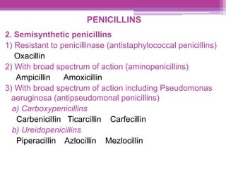 PENICILLINS
2. Semisynthetic penicillins
1) Resistant to penicillinase (antistaphylococcal penicillins)
Oxacillin
2) With broad spectrum of action (aminopenicillins)
Ampicillin Amoxicillin
3) With broad spectrum of action including Pseudomonas
aeruginosa (antipseudomonal penicillins)
a) Carboxypenicillins
Carbenicillin Ticarcillin Carfecillin
b) Ureidopenicillins
Piperacillin Azlocillin Mezlocillin
 