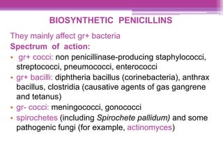 BIOSYNTHETIC PENICILLINS
They mainly affect gr+ bacteria
Spectrum of action:
• gr+ cocci: non penicillinase-producing staphylococci,
streptococci, pneumococci, enterococci
• gr+ bacilli: diphtheria bacillus (corinebacteria), anthrax
bacillus, clostridia (causative agents of gas gangrene
and tetanus)
• gr- cocci: meningococci, gonococci
• spirochetes (including Spirochete pallidum) and some
pathogenic fungi (for example, actinomyces)
 