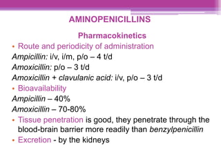 AMINOPENICILLINS
Pharmacokinetics
• Route and periodicity of administration
Ampicillin: i/v, i/m, p/o – 4 t/d
Amoxicillin: p/o – 3 t/d
Amoxicillin + clavulanic acid: i/v, p/o – 3 t/d
• Bioavailability
Ampicillin – 40%
Amoxicillin – 70-80%
• Tissue penetration is good, they penetrate through the
blood-brain barrier more readily than benzylpenicillin
• Excretion - by the kidneys
 