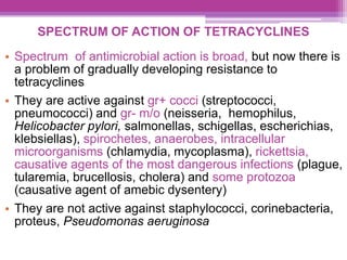 SPECTRUM OF ACTION OF TETRACYCLINES
• Spectrum of antimicrobial action is broad, but now there is
a problem of gradually developing resistance to
tetracyclines
• They are active against gr+ cocci (streptococci,
pneumococci) and gr- m/o (neisseria, hemophilus,
Helicobacter pylori, salmonellas, schigellas, escherichias,
klebsiellas), spirochetes, anaerobes, intracellular
microorganisms (chlamydia, mycoplasma), rickettsia,
causative agents of the most dangerous infections (plague,
tularemia, brucellosis, cholera) and some protozoa
(causative agent of amebic dysentery)
• They are not active against staphylococci, corinebacteria,
proteus, Pseudomonas aeruginosa
 