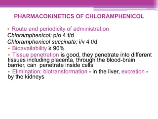 PHARMACOKINETICS OF CHLORAMPHENICOL
• Route and periodicity of administration
Chloramphenicol: p/o 4 t/d
Chloramphenicol succinate: i/v 4 t/d
• Bioavailability ≥ 90%
• Tissue penetration is good, they penetrate into different
tissues including placenta, through the blood-brain
barrier, can penetrate inside cells
• Elimination: biotransformation - in the liver, excretion -
by the kidneys
 