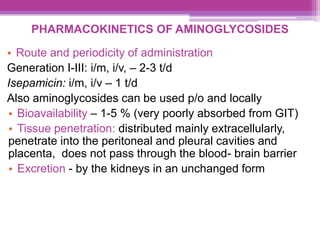PHARMACOKINETICS OF AMINOGLYCOSIDES
• Route and periodicity of administration
Generation I-III: i/m, i/v, – 2-3 t/d
Isepamicin: i/m, i/v – 1 t/d
Also aminoglycosides can be used p/o and locally
• Bioavailability – 1-5 % (very poorly absorbed from GIT)
• Tissue penetration: distributed mainly extracellularly,
penetrate into the peritoneal and pleural cavities and
placenta, does not pass through the blood- brain barrier
• Excretion - by the kidneys in an unchanged form
 