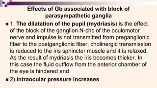 Effects of Gb associated with block of
parasympathetic ganglia
◼ 1. The dilatation of the pupil (mydriasis) is the effect
of the block of the ganglion N-chc of the oculomotor
nerve and impulse is not transmitted from preganglionic
fiber to the postganglionic fiber, cholinergic transmission
is reduced to the iris sphincter muscle and it is relaxed.
As the result of mydriasis the iris becomes thicker. In
this case the fluid outflow from the anterior chamber of
the eye is hindered and
◼ 2) intraocular pressure increases
 