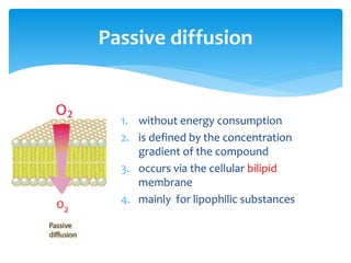 1. without energy consumption
2. is defined by the concentration
gradient of the compound
3. occurs via the cellular bilipid
membrane
4. mainly for lipophilic substances
Passive diffusion
 
