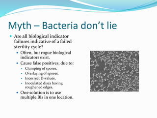 Myth – Bacteria don’t lie
 Are all biological indicator
failures indicative of a failed
sterility cycle?
 Often, but rogue biological
indicators exist.
 Cause false positives, due to:
 Clumping of spores,
 Overlaying of spores,
 Incorrect D-values,
 Inoculated discs having
roughened edges.
 One solution is to use
multiple BIs in one location.
 