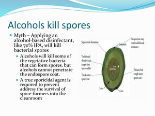 Alcohols kill spores
 Myth – Applying an
alcohol-based disinfectant,
like 70% IPA, will kill
bacterial spores
 Alcohols will kill some of
the vegetative bacteria
that can form spores, but
alcohols cannot penetrate
the endospore coat.
 A true sporicidal agent is
required to prevent
address the survival of
spore-formers into the
cleanroom
 