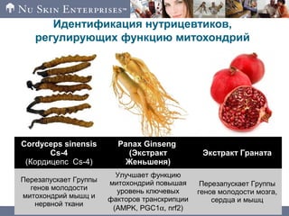 Идентификация нутрицевтиков,
регулирующих функцию митохондрий
Cordyceps sinensis
Cs-4
(Кордицепс Сs-4)
Panax Ginseng
(Экстракт
Женьшеня)
Экстракт Граната
Перезапускает Группы
генов молодости
митохондрий мышц и
нервной ткани
Улучшает функцию
митохондрий повышая
уровень ключевых
факторов транскрипции
(AMPK, PGC1α, nrf2)
Перезапускает Группы
генов молодости мозга,
сердца и мышц
 