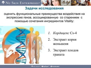 Задачи исследования
оценить функциональные преимущества воздействия на
экспрессию генов, ассоциированную со старением с
помощью сочетания ингредиентов Vitality:
1. Кордицепс Cs-4
2. Экстракт корня
женьшеня
3. Экстракт плодов
граната
 