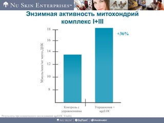 Энзимная активность митохондрий
комплекс I+III
Упражнения +
ageLOC
Контроль с
упражнениями
Ммоль/мин/мгмито.ДНК
18
16
14
12
10
8
+36%
Результаты пре-клинического исследования ageLOC Vitality
 