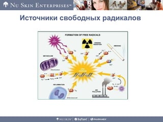 Источники свободных радикалов
 