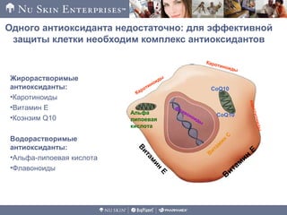 Одного антиоксиданта недостаточно: для эффективной
защиты клетки необходим комплекс антиоксидантов
флавоноиды
Витамин
E
Витам
ин
EВ
итам
ин
C
CoQ10
CoQ10
каротиониды
Альфа
липоевая
кислота
Каротиноиды
КаротиноидыЖирорастворимые
антиоксиданты:
•Каротиноиды
•Витамин Е
•Коэнзим Q10
Водорастворимые
антиоксиданты:
•Альфа-липоевая кислота
•Флавоноиды
 