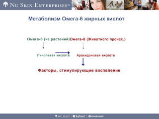 Метаболизм Омега-6 жирных кислот
Факторы, стимулирующие воспаление
Линолевая кислота
Омега-6 (из растений)Омега-6 (Животного происх.)
Арахидоновая кислота
 