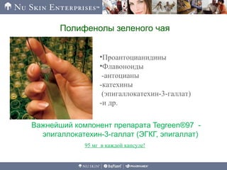 Полифенолы зеленого чая
•Проантоцианидины
•Флавоноиды
-антоцианы
-катехины
(эпигаллокатехин-3-галлат)
-и др.
Важнейший компонент препарата Tegreen®97 -
эпигаллокатехин-3-галлат (ЭГКГ, эпигаллат)
95 мг в каждой капсуле!
 