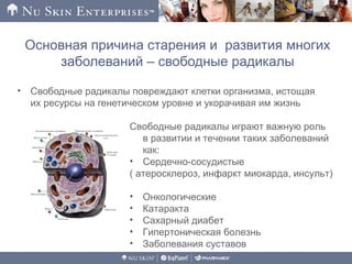 • Свободные радикалы повреждают клетки организма, истощая
их ресурсы на генетическом уровне и укорачивая им жизнь
Свободные радикалы играют важную роль
в развитии и течении таких заболеваний
как:
• Сердечно-сосудистые
( атеросклероз, инфаркт миокарда, инсульт)
• Онкологические
• Катаракта
• Сахарный диабет
• Гипертоническая болезнь
• Заболевания суставов
Основная причина старения и развития многих
заболеваний – свободные радикалы
 