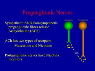 Preganglionic Nerves
Sympathetic

Parasympathetic

Sympathetic AND Parasympathetic
preganglionic fibres release
Acetylcholine (ACh)
ACh has two types of receptors:
Muscarinic and Nicotinic
Postganglionic nerves have Nicotinic
receptors

ACh

 