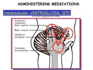 ADMINISTERING MEDICATIONS Intramuscular: VENTROGLUTEAL SITE 