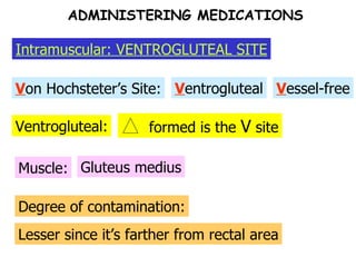 Muscle: Gluteus medius Degree of contamination: Lesser since it’s farther from rectal area ADMINISTERING MEDICATIONS Intramuscular: VENTROGLUTEAL SITE Ventrogluteal: V on Hochsteter’s Site: V entrogluteal formed is the  V  site V essel-free 