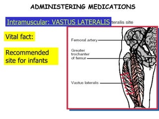 CHULOU H. PENALES, RN  ADMINISTERING MEDICATIONS Vital fact: Recommended site for infants Intramuscular: VASTUS LATERALIS 