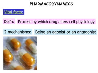 2 mechanisms: Def’n: Vital facts: Process by which drug alters cell physiology Being an agonist or an antagonist PHARMACODYNAMICS 
